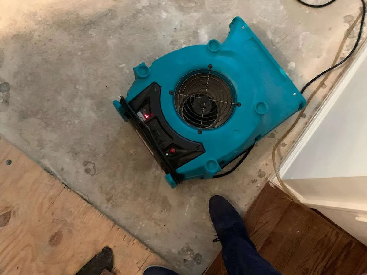 Air mover drying subfloor during Leak Detection & Repair in Hamilton